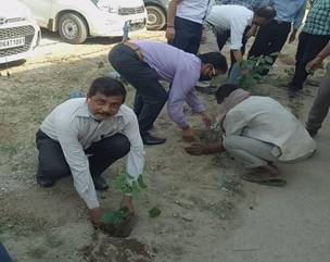 Social Responsibility