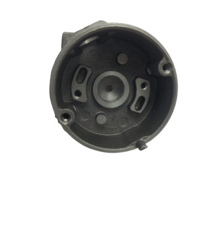 20250521_114831-Photoroom